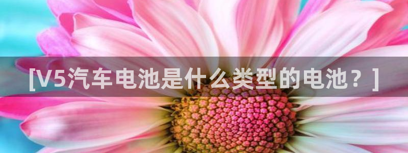 优发国际登录l8：[V5汽车电池是什么类型的电池？]