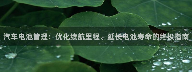 优发国际电话：汽车电池管理：优化续航里程、延长电池寿命的终极指南