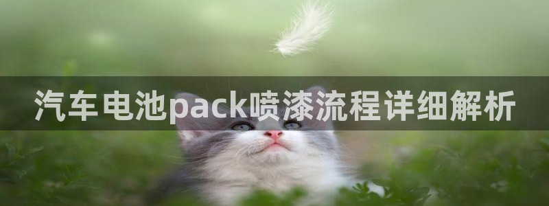 优发国际手机客户端下载安装