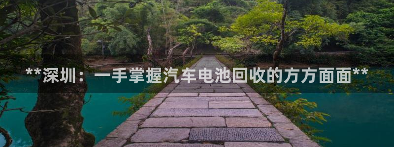 优发国际官网：**深圳：一手掌握汽车电池回收的方方面面**