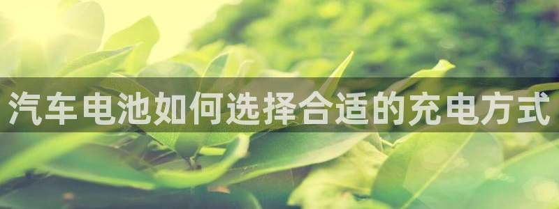 优发国际app