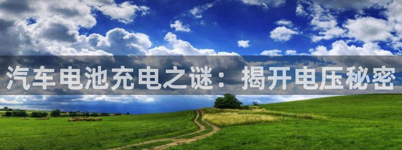 优发国际平台u8是什么软件