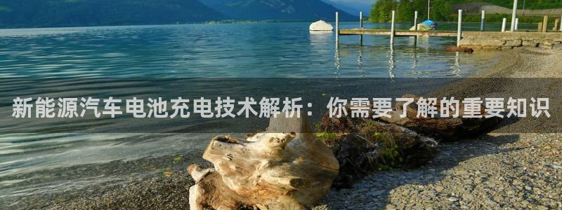 优发国际是大平台吗还是小平