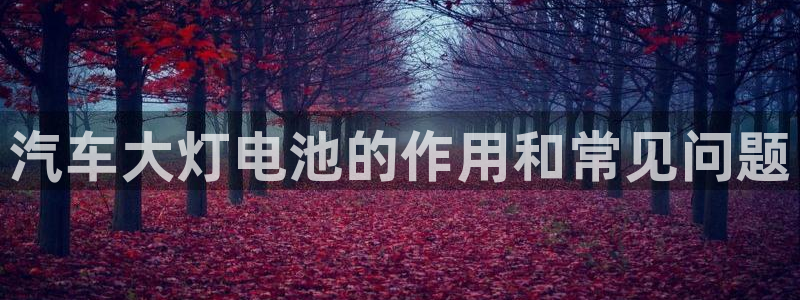 优发国际网站官网