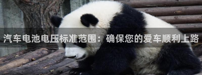 优发国际官方网平台
