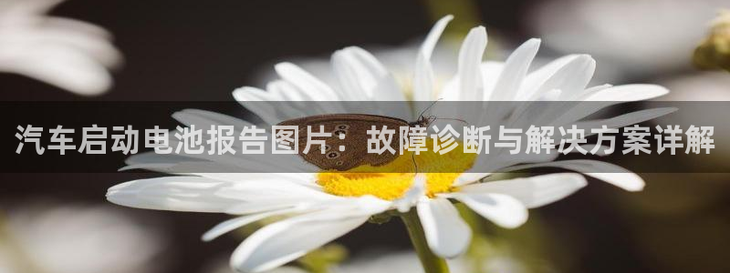 优发国际手机客户端下载不了