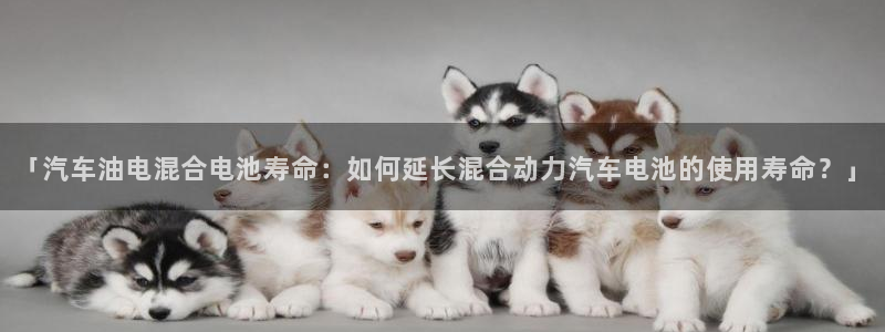 优发国际这个平台怎么样：「汽车油电混合电池寿命：如何延长混合动力汽车电池的使用寿命？」