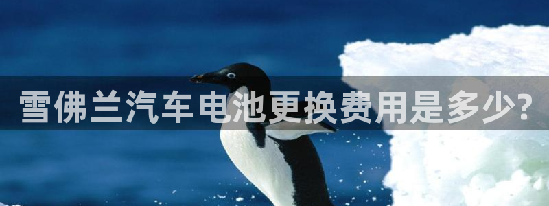 优发娱乐官网地址
