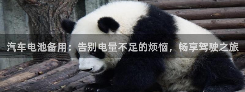 优发国际官网手机版：汽车电池备用：告别电量不足的烦恼，畅享驾驶之旅