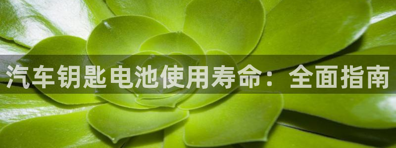 优发国际官网值是多少