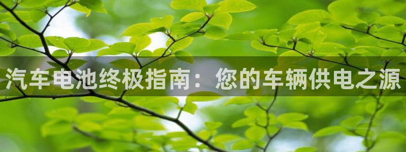 优发国际软件下载官网
