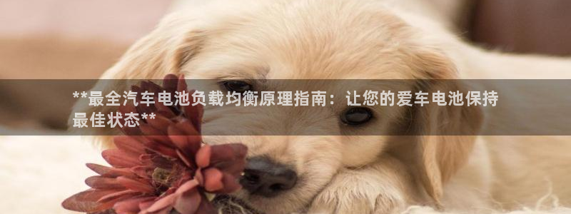 优发国际首页app：**最全汽车电池负载均衡原理指南：让您的爱车电池保持
最佳状态**