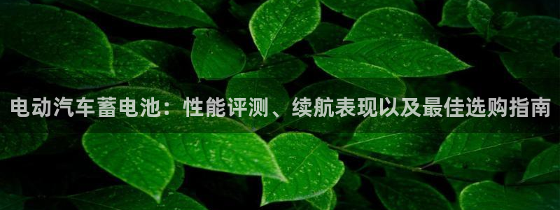 优发国际app