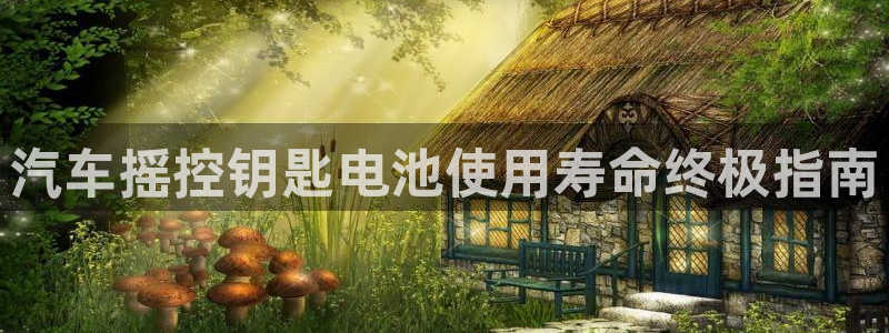 优发国际手机安装登录失败：汽车摇控钥匙电池使用寿命终极指南