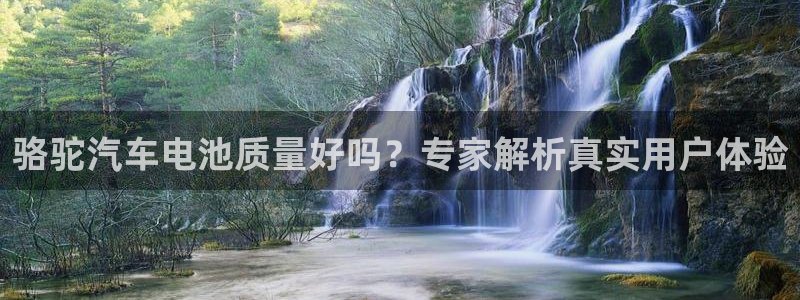 优发国际的官网是什么：骆驼汽车电池质量好吗？专家解析真实用户体验
