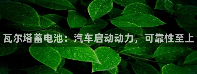 优发国际在哪里下载：瓦尔塔蓄电池：汽车启动动力，可靠性至上