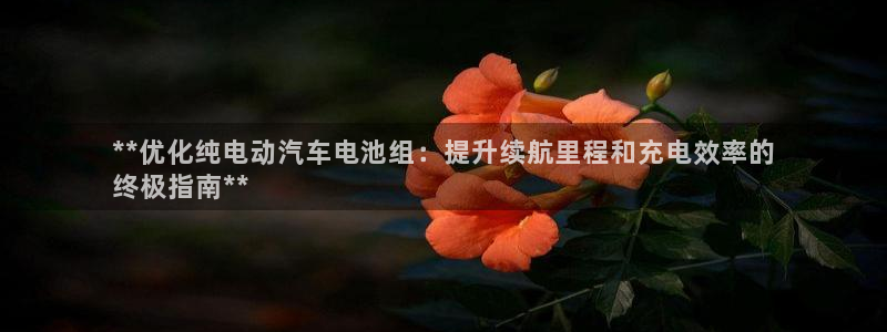 优发国际安卓版下载安装：**优化纯电动汽车电池组：提升续航里程和充电效率的
终极指南**