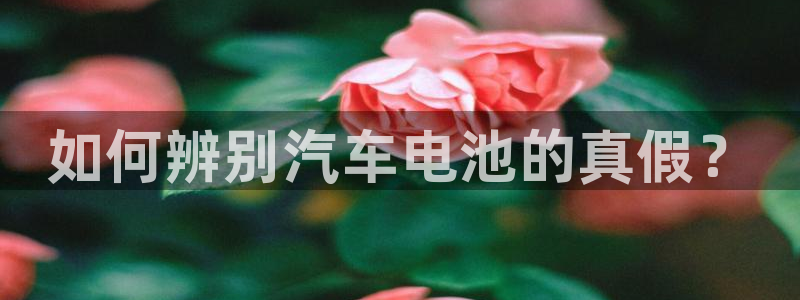 优发国际这个平台怎么样知乎：如何辨别汽车电池的真假？