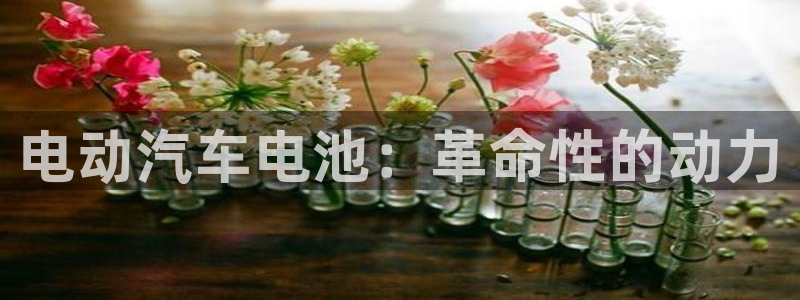 优发国际官网手机版下载苹果
