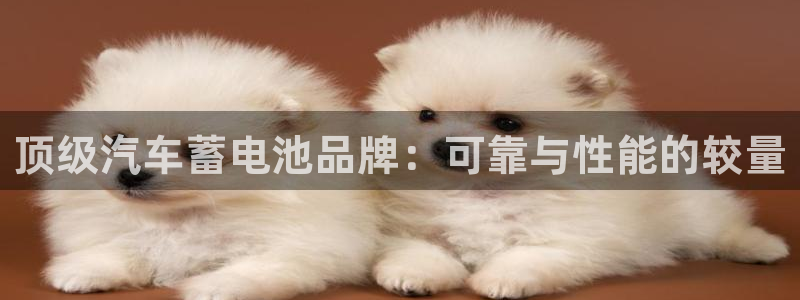 优发国际手机app下载地址：顶级汽车蓄电池品牌：可靠与性能的较量