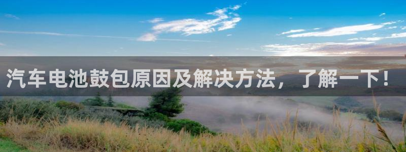 优发国际这个平台怎么样可靠吗：汽车电池鼓包原因及解决方法，了解一下！