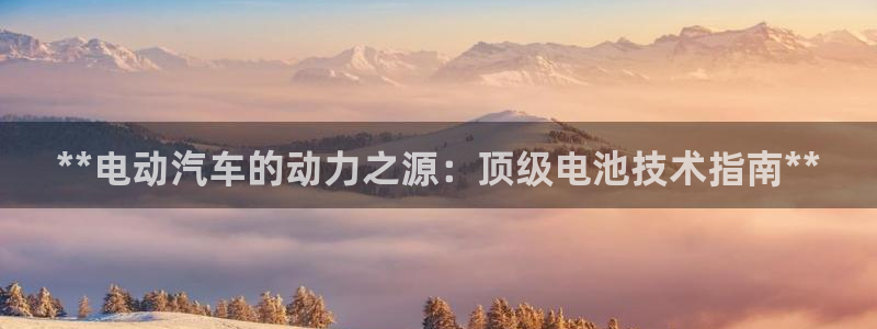 优发国际官网首页：**电动汽车的动力之源：顶级电池技术指南**