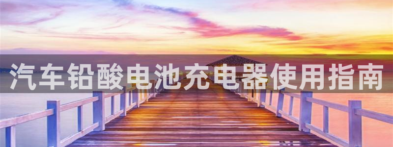 优发国际网官网17w8：汽车铅酸电池充电器使用指南